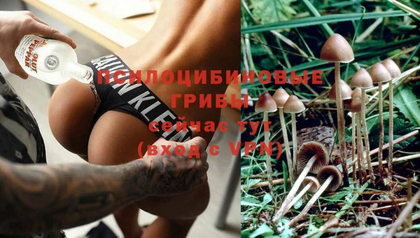 герыч Верхний Тагил