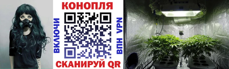 Бошки Шишки Bruce Banner  omg онион  Гагарин 